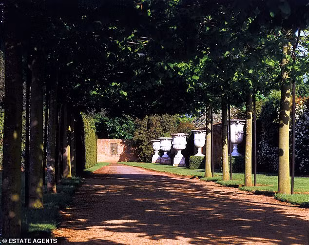 Bat ngo dao duoc kho bau khi lam vuon tri gia hon chuc ty dong-Hinh-2