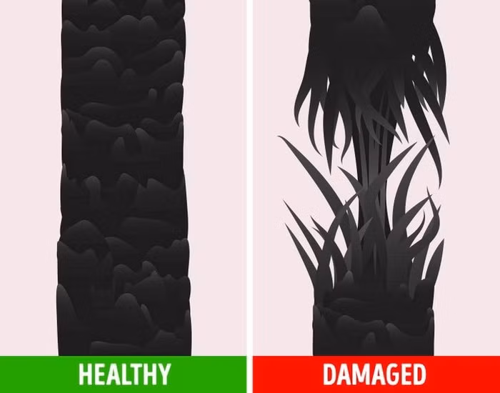 Muon biet toc khoe manh hay khong hay thu ngay 4 bai kiem tra nay-Hinh-3