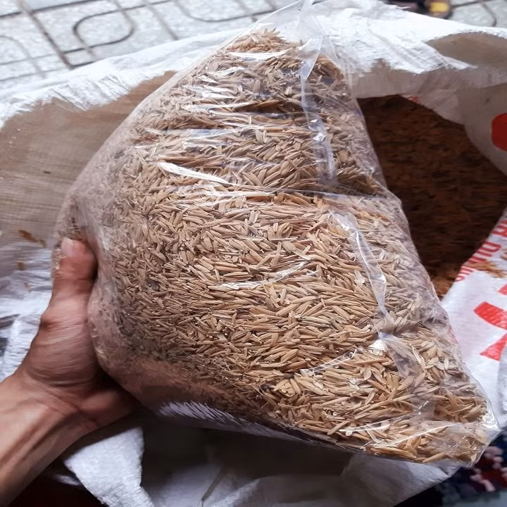 Dong nat sat vun dien tu, mon nao mon y dat khach khong ngo-Hinh-4