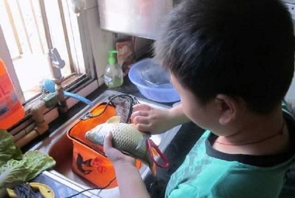 Cậu bé tới công ty để lại một thứ khiến sếp rơi nước mắt ảnh 1