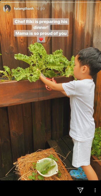 Con gai Tang Thanh Ha 3 tuoi da doc thong viet thao tieng Anh-Hinh-3