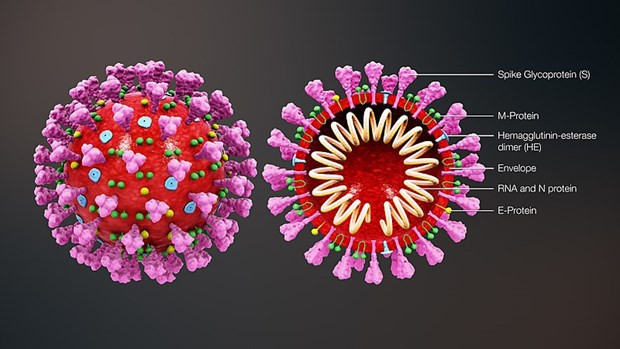 Australia chụp hình 3D virus SARS-COV-2 hỗ trợ chế tạo vắcxin Australia chup hinh 3D virus SARS-COV-2 ho tro che tao vacxin
