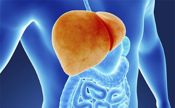 6 loại thực phẩm "thần dược" lọc sạch gan - bổ thận 6 loai thuc pham