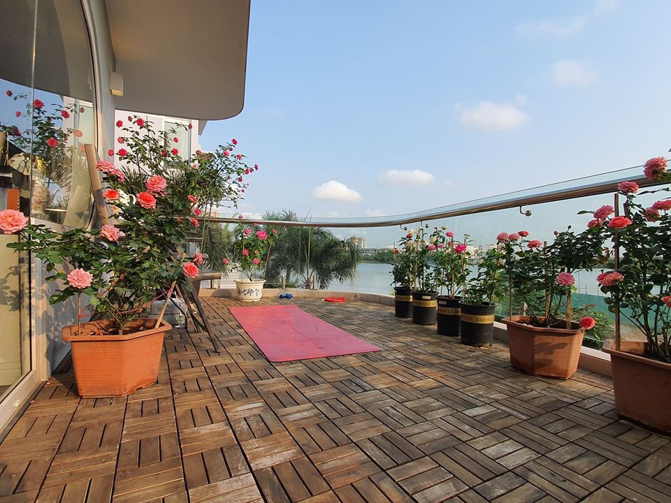 Không chỉ tập luyện với máy chạy bộ, bơi, cô còn tập yoga và luyện khí công... bên ban công ngập tràn hoa hồng.