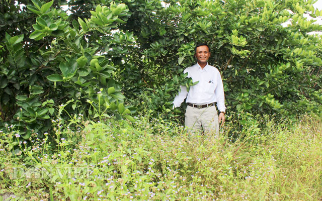 Chuyen la: Nuoi co um tum trong vuon chanh 14ha, cha lo chong han-Hinh-13