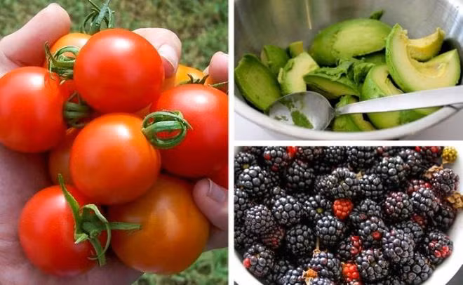 Ca hoi - thuc pham giau collagen giup lam cham qua trinh lao hoa-Hinh-5