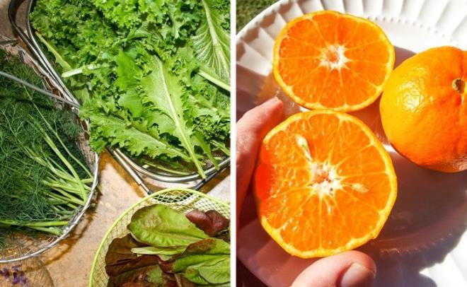 Ca hoi - thuc pham giau collagen giup lam cham qua trinh lao hoa-Hinh-3