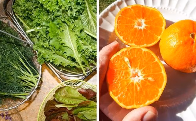 Ca hoi - thuc pham giau collagen giup lam cham qua trinh lao hoa-Hinh-3