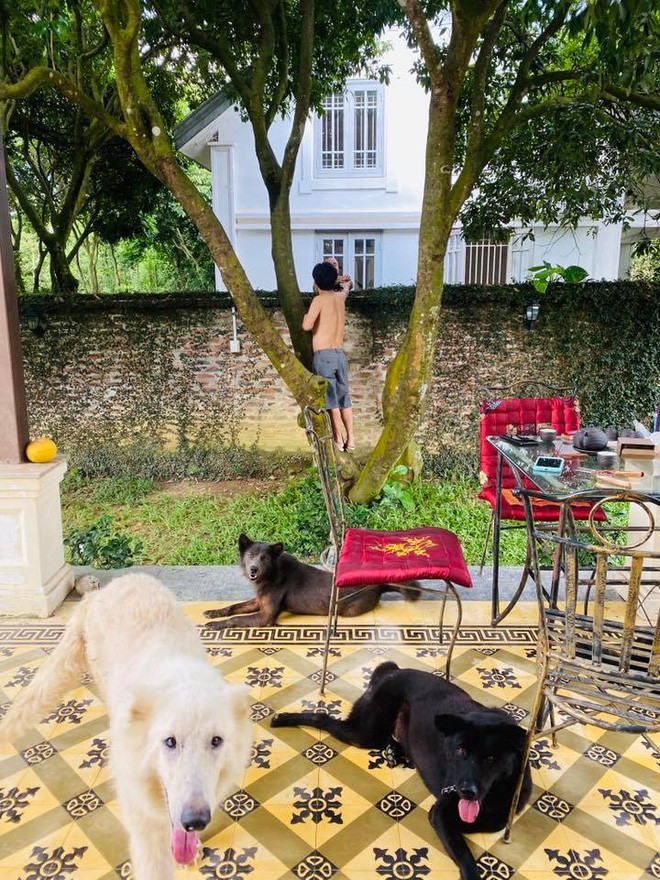 “Vua hai dat Bac” bi hang xom chup trom bieu cam kho do-Hinh-2