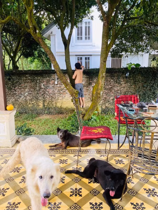 “Vua hai dat Bac” bi hang xom chup trom bieu cam kho do-Hinh-2