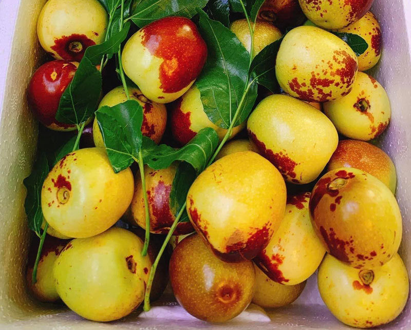 Loai qua Trung Quoc duoc rao riet lung mua-Hinh-2