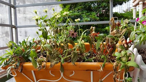 Thang co hon neu thay 5 vat nay trong nha thi nen vut ngay