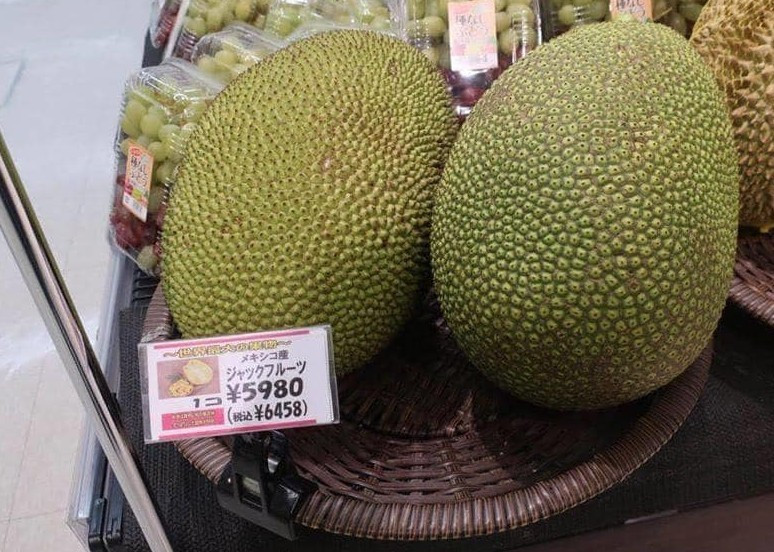 O Viet Nam gia re, mit ben Nhat 1,5 trieu dong/qua