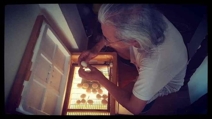 Cau chuyen cam dong ve tinh phu tu giup xua di niem bat an-Hinh-6