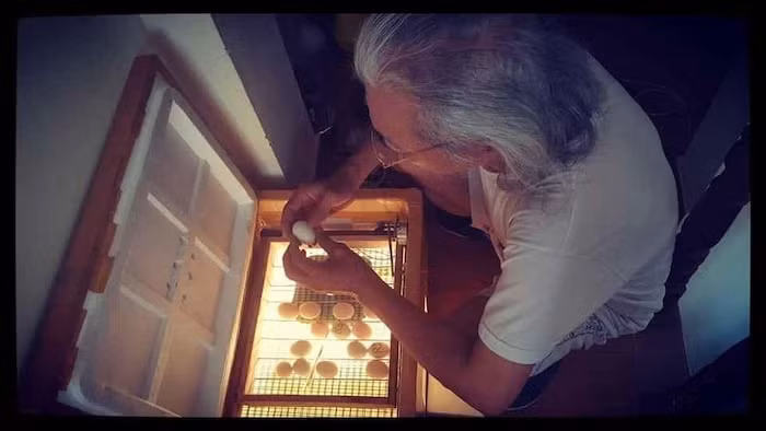 Cau chuyen cam dong ve tinh phu tu giup xua di niem bat an-Hinh-6