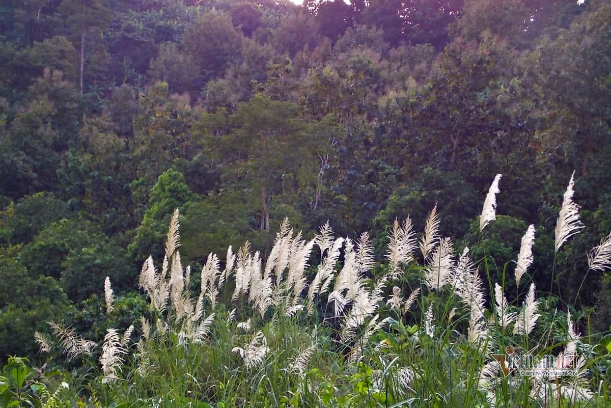 Phận đàn bà qua một lần đổ vỡ! ảnh 1