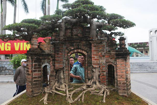 Tac pham sanh co hinh cong lang ky di-Hinh-2