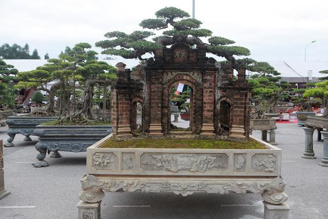 Tac pham sanh co hinh cong lang ky di