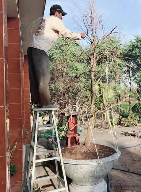 Cô gái kể chuyện gia đình chắp vá và cha dượng 100 người có 1 Co gai ke chuyen gia dinh chap va va cha duong 100 nguoi co 1