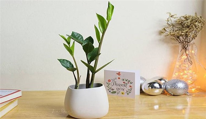 Những mẹo phong thủy bàn làm việc giúp gia chủ tiền bạc vào ầm ầm ảnh 2 Những mẹo phong thủy bàn làm việc giúp gia chủ tiền bạc vào ầm ầm ảnh 2