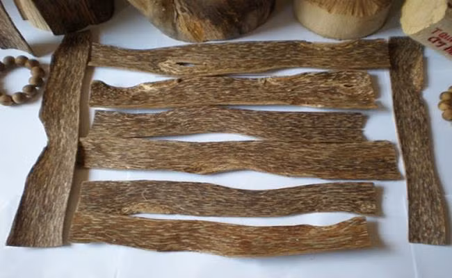 Hang Viet Nam vua dat vua hiem, khach quoc te 'them thuong'-Hinh-12