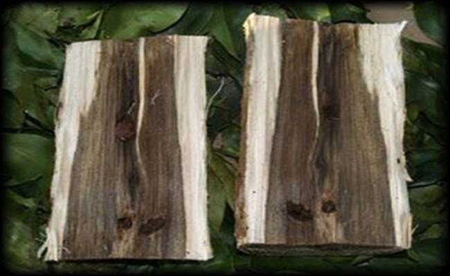 Hàng Việt Nam vừa đắt vừa hiếm, khách quốc tế 'thèm thuồng' - Hình 2 Hang Viet Nam vua dat vua hiem, khach quoc te 'them thuong'-Hinh-2