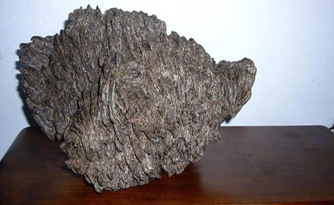 Hàng Việt Nam vừa đắt vừa hiếm, khách quốc tế 'thèm thuồng' - Hình 7 Hang Viet Nam vua dat vua hiem, khach quoc te 'them thuong'-Hinh-7