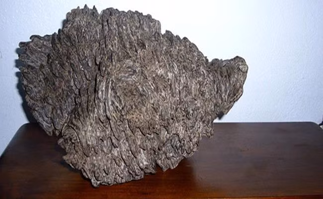 Hang Viet Nam vua dat vua hiem, khach quoc te 'them thuong'-Hinh-7