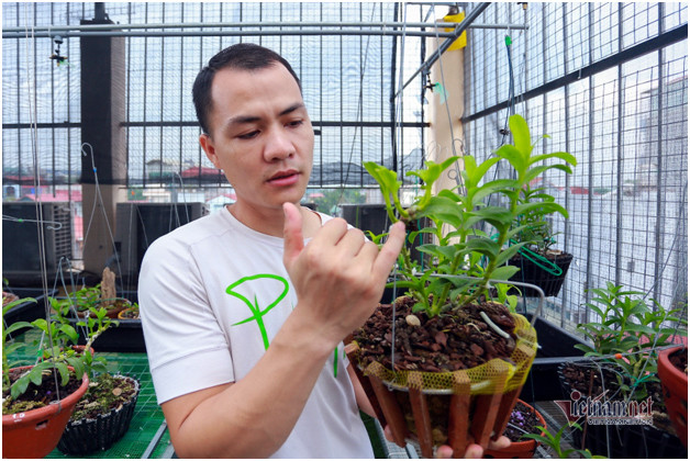 4 mam lan nhu cong rau rao tien ty cua 2 dai gia Ha thanh