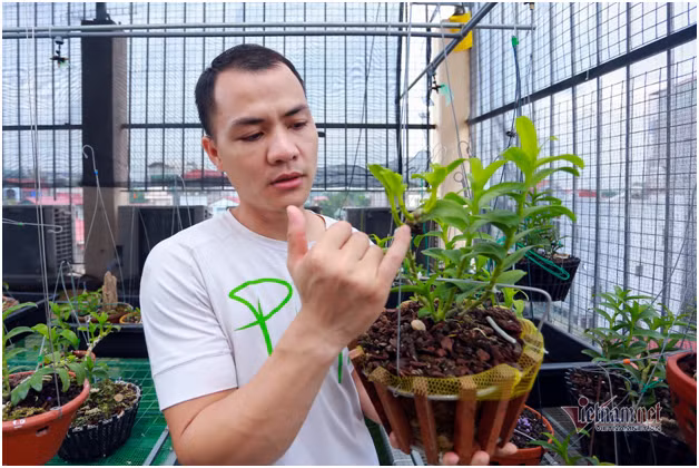 4 mam lan nhu cong rau rao tien ty cua 2 dai gia Ha thanh