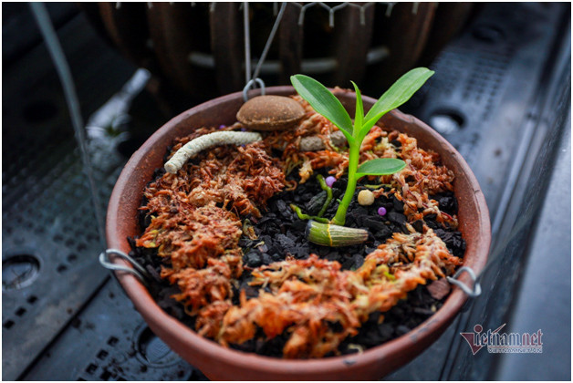 4 mam lan nhu cong rau rao tien ty cua 2 dai gia Ha thanh-Hinh-3