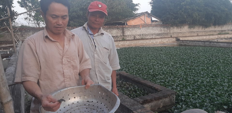 Nuoi loai co tho ra rut vao, lung bong nhay, mot von bon loi