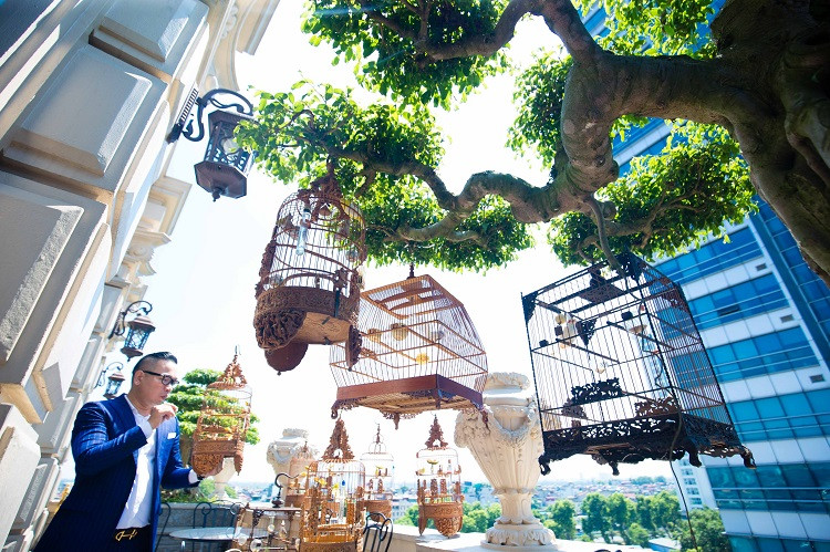 Dan chim 10 ty: O phong dieu hoa, co 2 bao mau cham soc rieng-Hinh-6