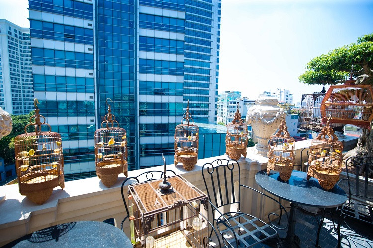 Dan chim 10 ty: O phong dieu hoa, co 2 bao mau cham soc rieng-Hinh-7