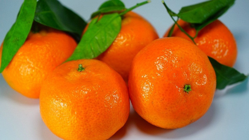 Chi ban hoa qua tiet lo 4 cach chon quyt duong ngot-Hinh-2