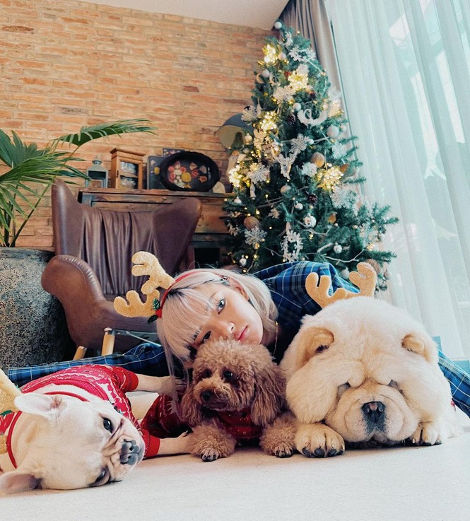 ##s###Không khí Giáng sinh đã ngập tràn tại tổ ấm của nàng mẫu đình đám.