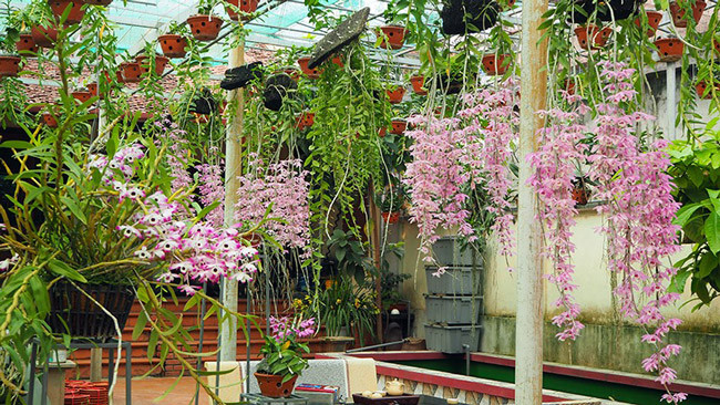 Choang ngop voi vuon cay an suong, uong gio ca chuc ty dong-Hinh-16