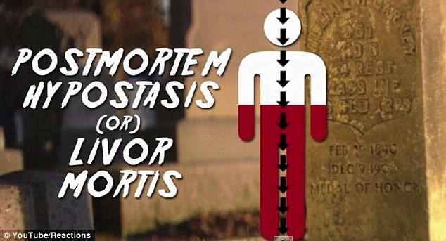 Giai ma bi an qua trinh chet cua con nguoi-Hinh-2