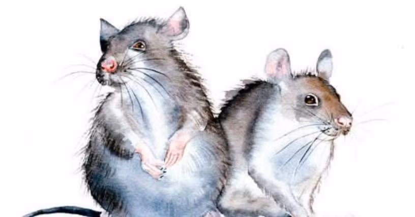 Con giap may man, tinh tien deu do nhu son trong thang 10