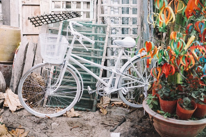 Hiện hình ảnh và chuyện tình “thương em anh trồng dàn hoa giấy” của đôi trẻ miền Tây vẫn được liên tục chia sẻ trong cộng đồng mạng.