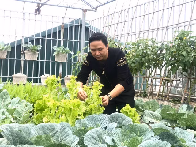 Ong bo Ha Noi chi gan tram trieu de trong rau tren san thuong-Hinh-4