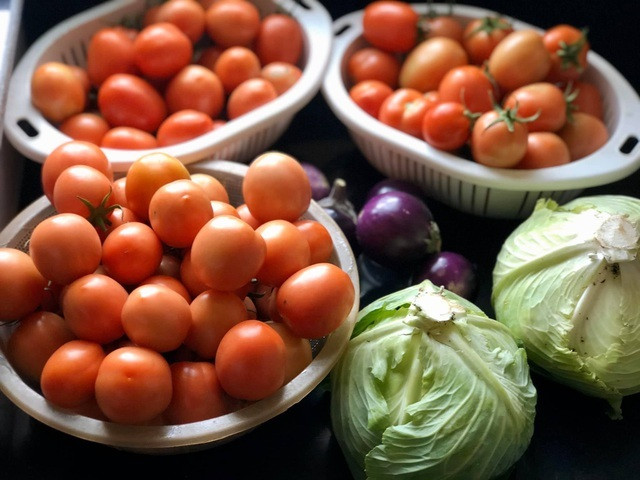 Ong bo Ha Noi chi gan tram trieu de trong rau tren san thuong-Hinh-10