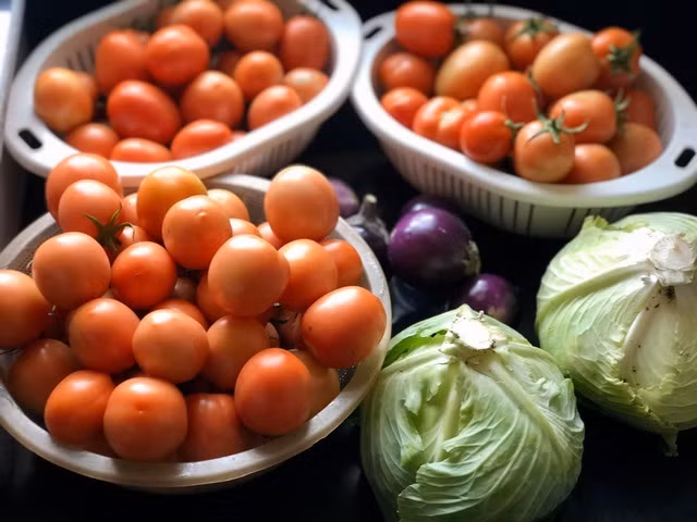 Ong bo Ha Noi chi gan tram trieu de trong rau tren san thuong-Hinh-10