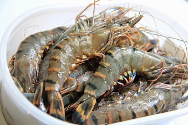 Chuyên gia bật mí cách mua tôm chuẩn người bán hàng cũng thua Chuyen gia bat mi cach mua tom chuan nguoi ban hang cung thua