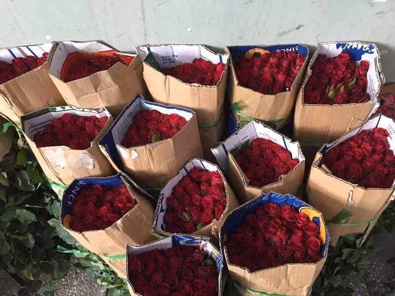 Ban het 700 banh my, 5.000 bong hong, yen tam nghi chong dich-Hinh-5