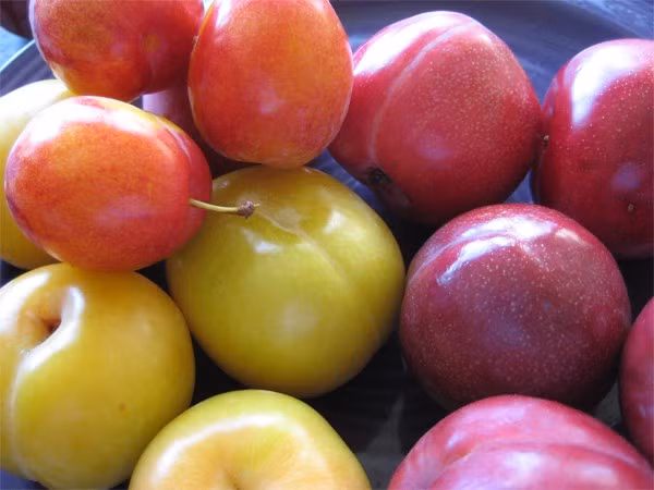 Dieu can luu y khi an man ai cung can biet keo hoi han cung muon