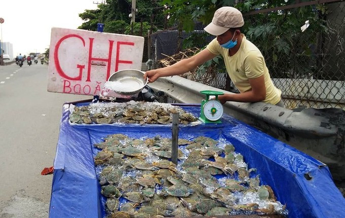 Ghe xanh “sieu re” ban day le duong o TP.HCM