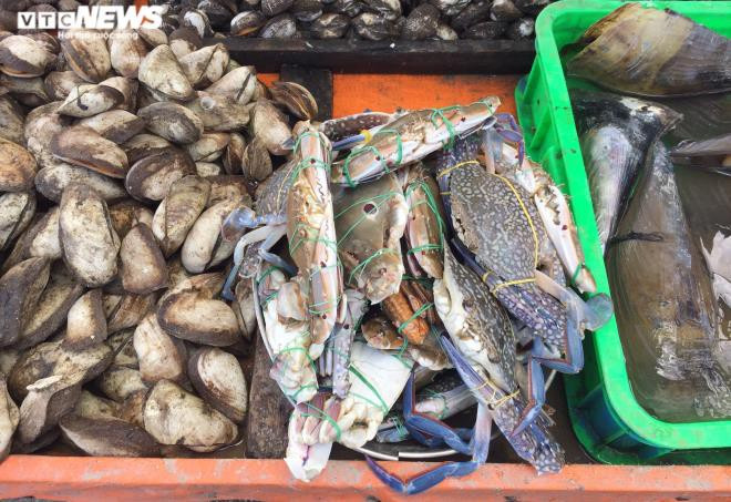 Ghe xanh “sieu re” ban day le duong o TP.HCM-Hinh-4