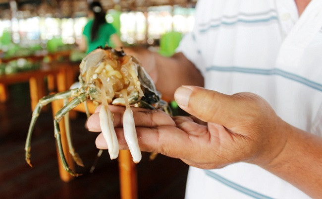 Mua tom hum, ta hoa thay mieng trang dai nhu cao su-Hinh-5