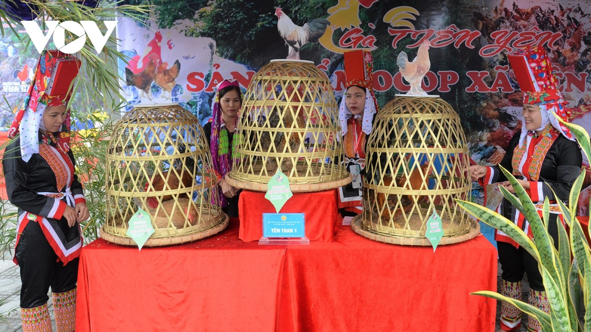 Phần thi chính là “Vua gà, gà đẹp”. Mỗi đội sẽ có 1 chú gà trống đạt đủ các tiêu chí của hội thi như mào, cựa, móng hay lông đuôi,… để tham gia. Phần thi phụ sẽ là cặp đôi gà đẹp và gà trống thiến đẹp nhất.